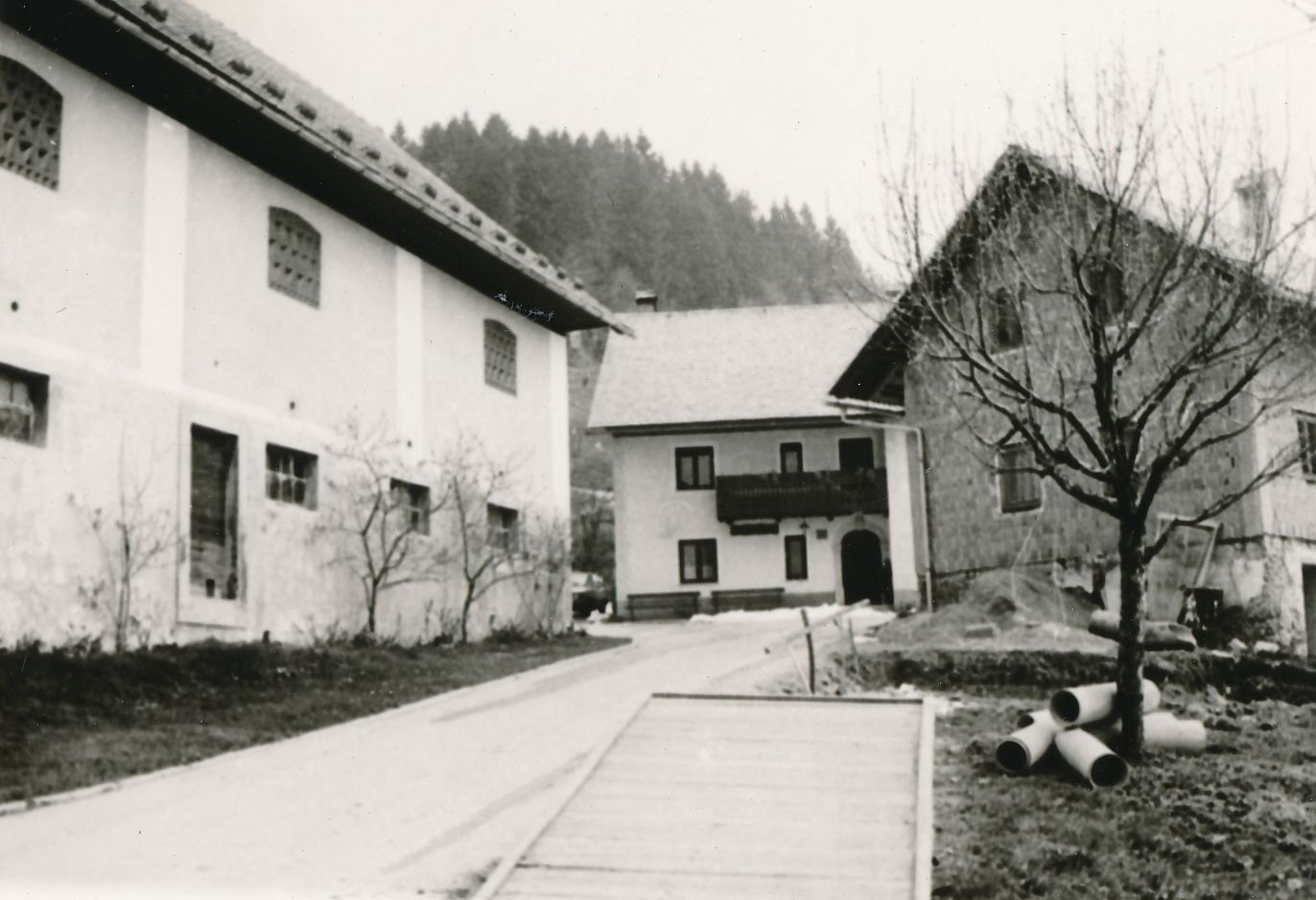 eika image